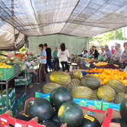 Puesto de mercadillo: Frutas Carmen y Paco